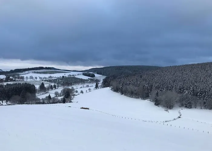 Familie Willems 3 Апартаменты Винтерберг