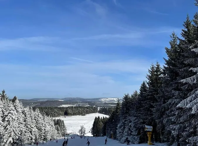 Апартаменты Familie Willems 3 Винтерберг