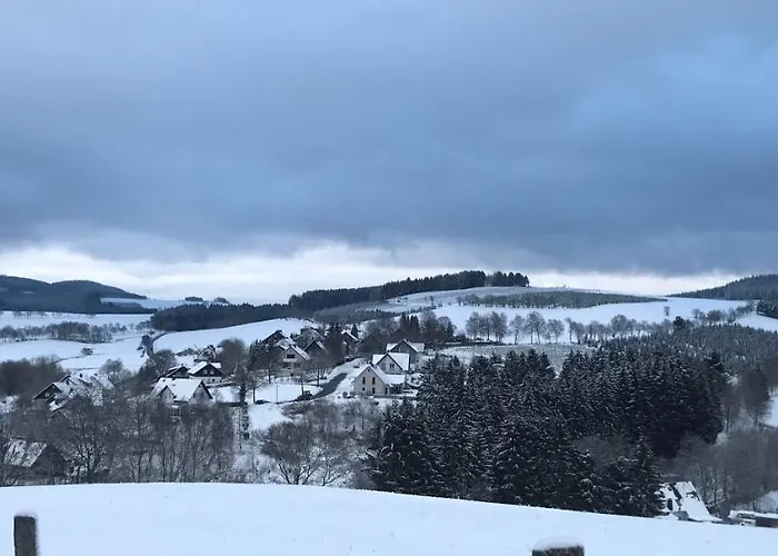 Апартаменты Familie Willems 3 Винтерберг