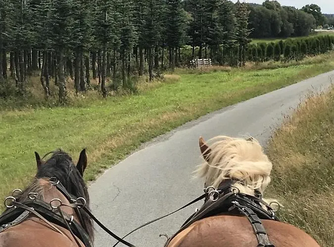 Familie Willems 3 * ヴィンターベルク