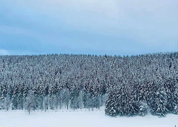 Familie Willems 3 アパート ヴィンターベルク